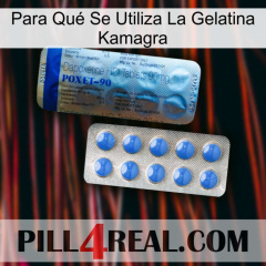 Para Qué Se Utiliza La Gelatina Kamagra 40